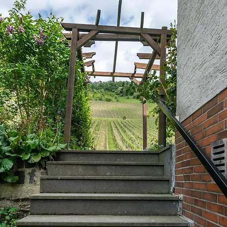Sigi * Traben-Trarbach