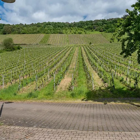 Sigi * Traben-Trarbach